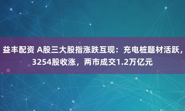 益丰配资 A股三大股指涨跌互现：充电桩题材活跃，3254股收涨，两市成交1.2万亿元