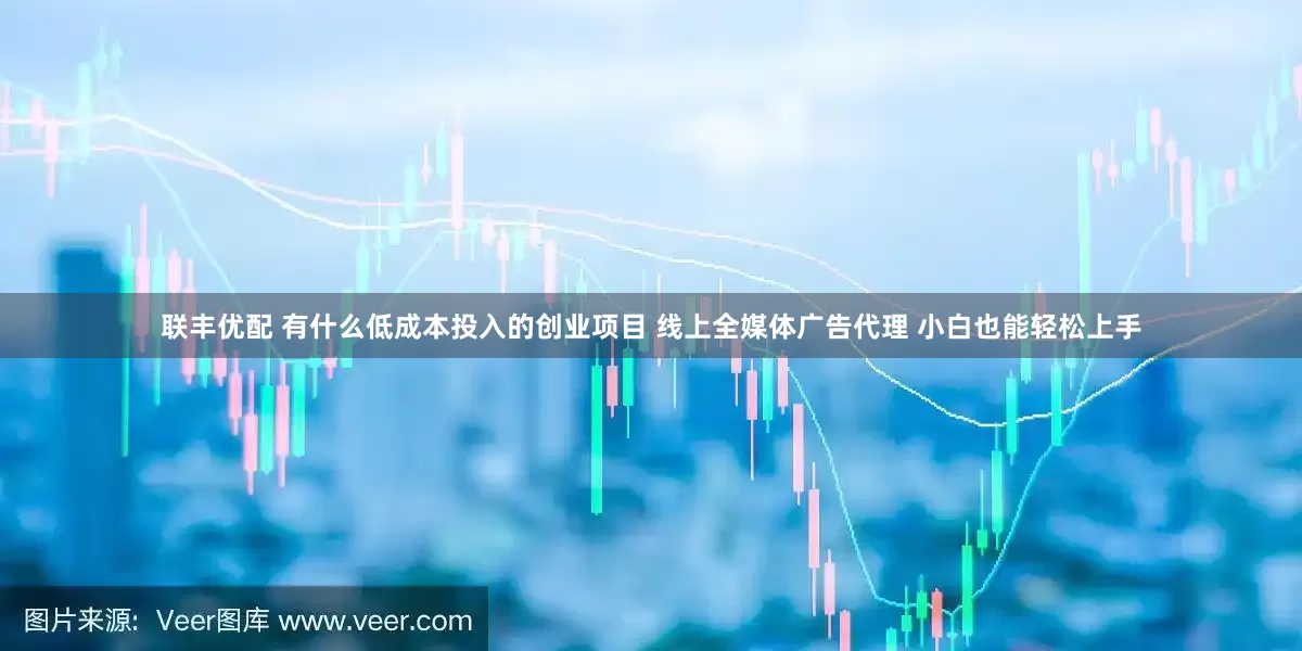 联丰优配 有什么低成本投入的创业项目 线上全媒体广告代理 小白也能轻松上手