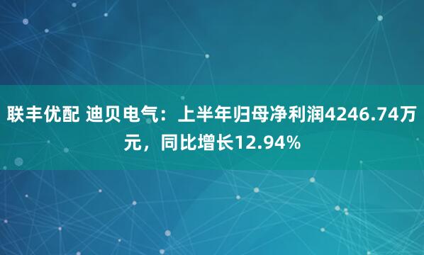 联丰优配 迪贝电气：上半年归母净利润4246.74万元，同比增长12.94%