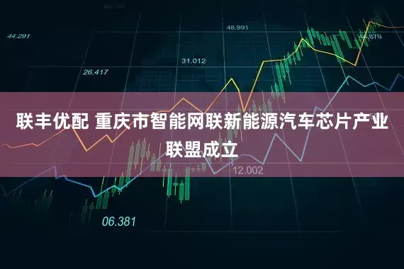 联丰优配 重庆市智能网联新能源汽车芯片产业联盟成立