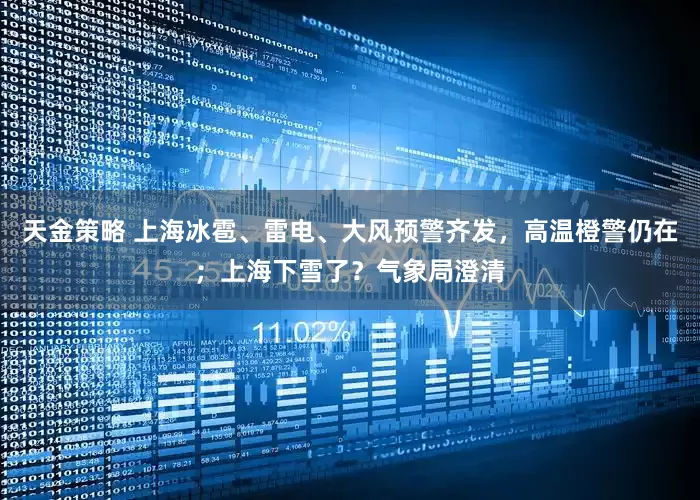 天金策略 上海冰雹、雷电、大风预警齐发，高温橙警仍在；上海下雪了？气象局澄清
